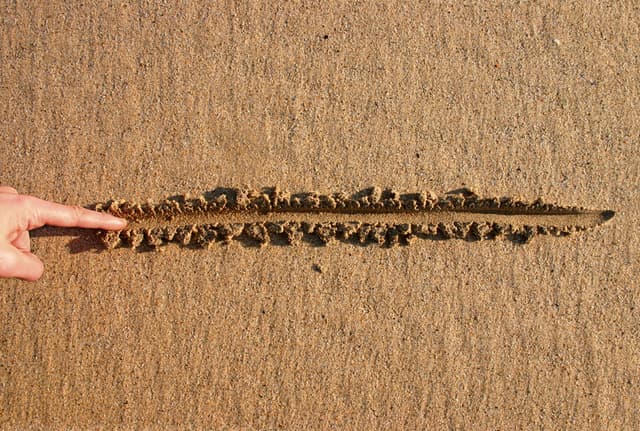 5% on the 30‑Year Bond Is Huge, But Is It Really 'The Line in the Sand'?
